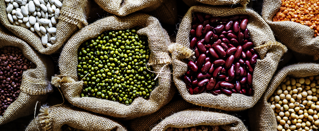 rawpixel.com/freepik