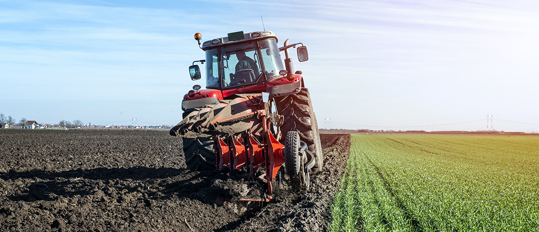 aleksandarlittlewolf/freepik