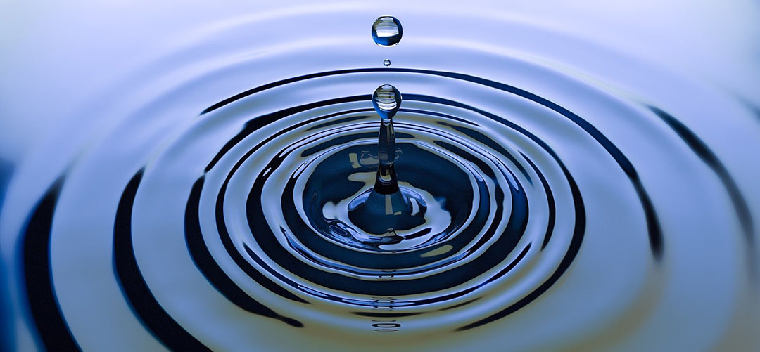 Arek Socha / Pixabay