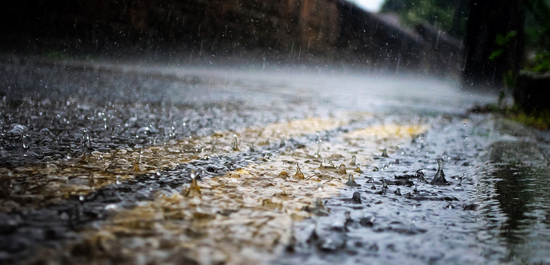 PublicDomainPictures / Pixabay